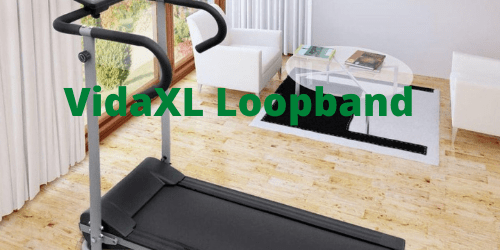 VidaXL Loopband