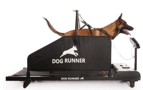 Dog Runner International Hondenloopband