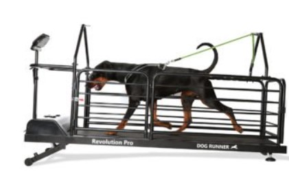 Hondenloopband training